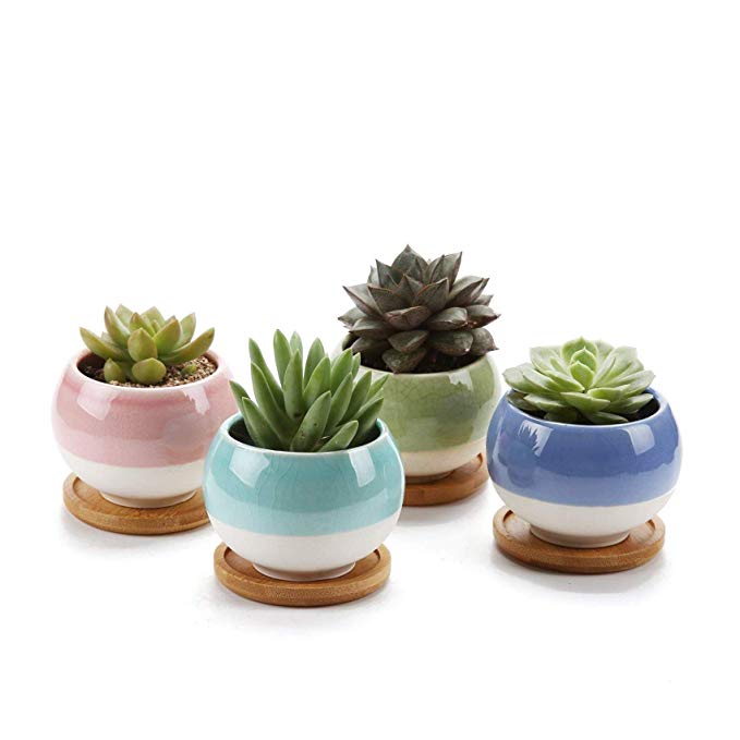 GreenyLife 3" Ceramic Succulent Planter Pots with Drainage Colorful Windowsill Planter with Tray for Succulent Plants Cactus Window Boxes Home Office Decor, Set of 4