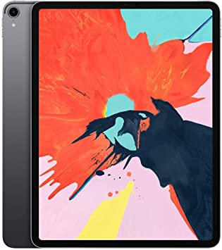 Apple iPad Pro (12.9-inch, Wi-Fi   Cellular, 256GB) - Space Gray (Renewed)