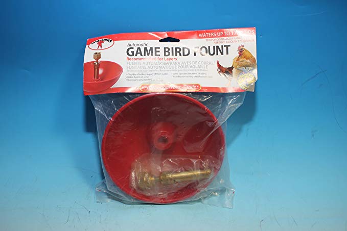LITTLE GIANT 2500 Automatic Game Bird Fountain Waterer, Red