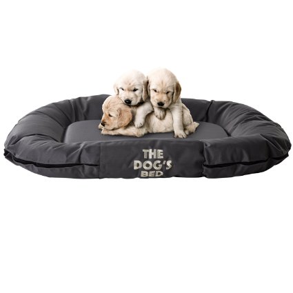 The Dog's Bed, Premium Waterproof Dog Beds, Quality, Durable Oxford Fabric Removable Washable Covers in Grey Brown Green Black Biscuit, Embroidered Designs ZZZZ, Back in 5 Minutes & Bible Verses