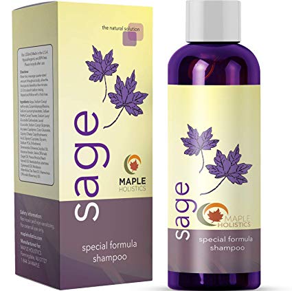 Maple Holistics Sage Shampoo for Anti Dandruff with Jojoba, Argan, and Organic Tea Tree Oil – Natural, Sulfate Free Treatment for Women and Men – Safe for Color Treated Hair (8 fl. oz.)