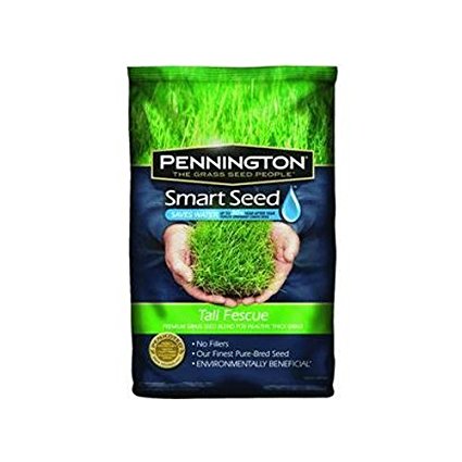 Pennington 100086831 Smart Seed Tall Fescue Blend, 7-Pound