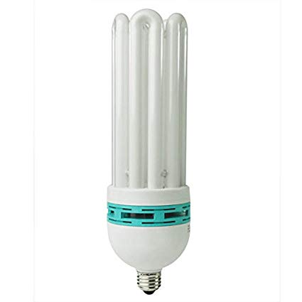 KAEZI 105 Watt Studio Grow Light Bulb Compact Fluorescent 5500K CFL Day Light Bulb (105W) Spiral