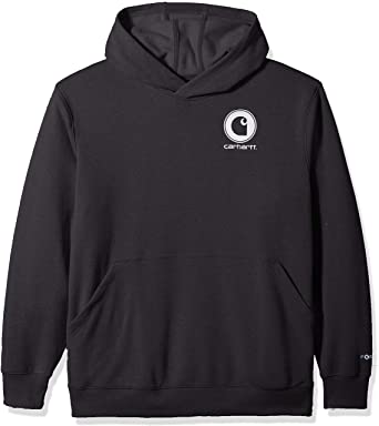 Carhartt Men's Force Delmont Graphic Hooded Sweatshirt (Regular and Big & Tall Sizes)