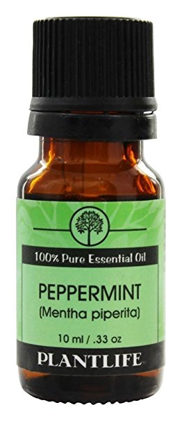 Peppermint 100% Pure Essential Oil - 10 ml