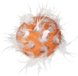 JW Pet Company Cataction Feather Ball Cat Toy