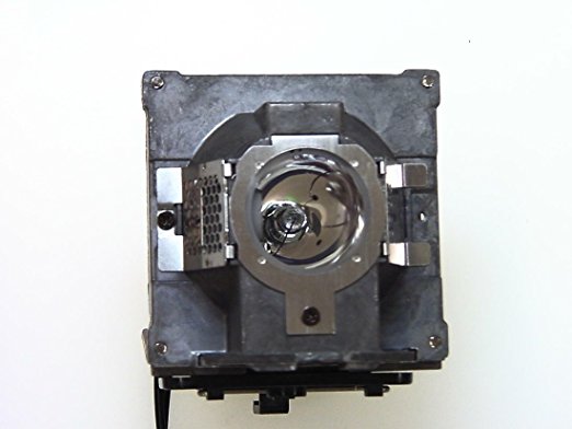 5J.J2D05.011 - Projektorlampe