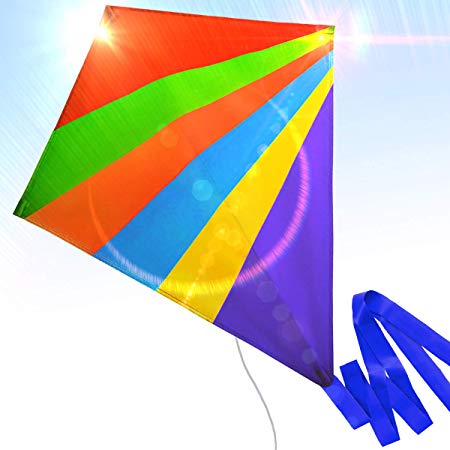 Cool Kite for Kids and Adults Easy to Fly Outdoor Summer Activities Beach Fun Flying Kites Games Toys Giant Rainbow Eagle Dual Toddler Boys the Delta Fishing Line a Large Prism Wind Pole String Stunt