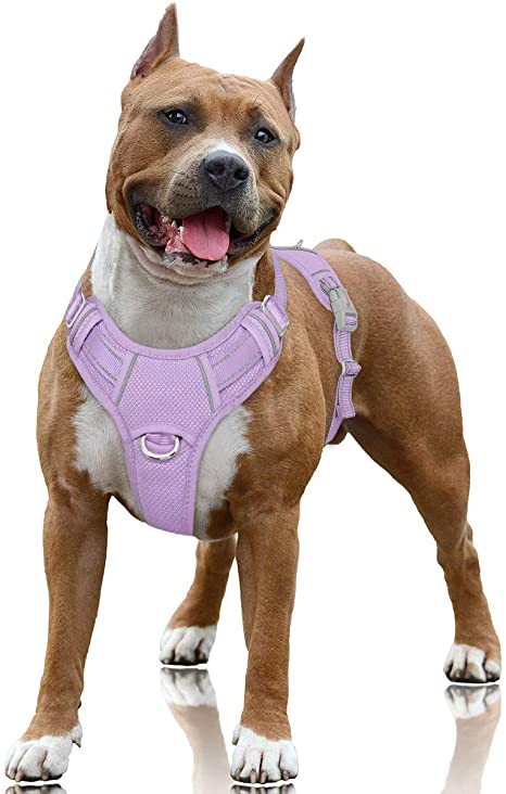 BARKBAY No Pull Dog Harness Large Step in Reflective Dog Harness with Front Clip and Easy Control Handle for Walking Training Running with ID tag Pocket(Violet Purple,L)