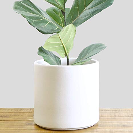 Indoor Flower Pot | Large Modern Planter, Terracotta Ceramic Plant Pot - Plant Container Great for Plant Stands (8.5 inch, White)