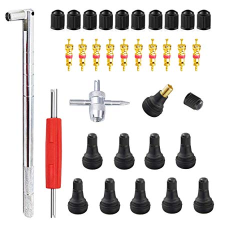 ZHSMS Tyre Valve Stem Puller Tools Set with 10 Pcs TR412 Snap-in Valve Stems with Valve Stem Cores, 1 Pcs Dual Single Head Valve Core Remover 1 Pcs 4-Way Valve Tool