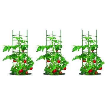 Gardener's Blue Ribbon 3-Pack Ultomato Tomato Plant Cage