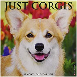 Just Corgis 2019 Wall Calendar (Dog Breed Calendar)