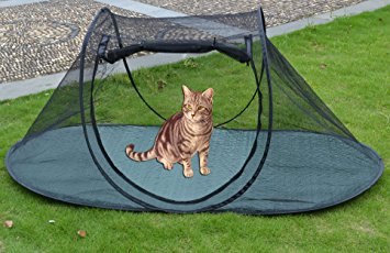 Strong Camel Pet Fun House Cat Dog Playpen Feline Funhouse Portable Exercise Tent with Carry Bag