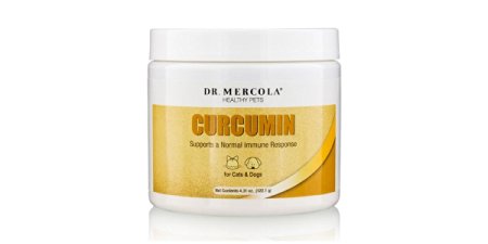 Dr. Mercola Curcumin for Pets - Supports A Normal Immune Response - For Cats & Dogs - Made In The USA - Highly Bioavailable - Highly Absorbable - 4.31 oz