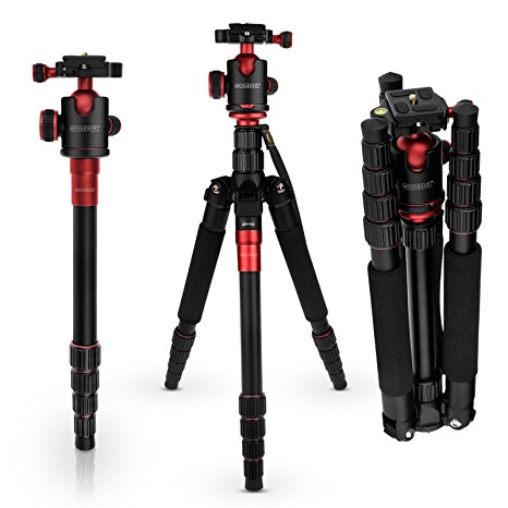 Caseflex Premium Alloy Professional Tripod Stand With Ball Head Mount for Digital Camera / Camcorder / DSLR / SLR / Video Cameras (Black & Red)