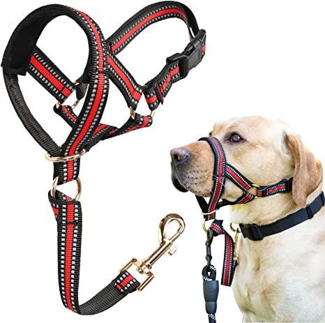 Dog Head Collar, No Pull Stylish Head Halter for Heavy Pullers, Gentle Dog Face Harness Stops Pet Pulling and Choking on Walks for Medium Large Aggressive Dogs (XL(Snout: 9.4"-15.7"), Red)