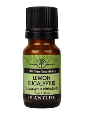 Eucalyptus Citriodora (Lemon Eucalyptus) 100% Pure Essential Oil - 10 ml