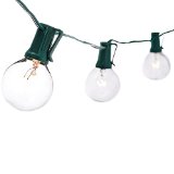 Super Gorgeous Globe String Lights - Outdoor String Light - UL Listed - Globe String Lights for your OutdoorGarden Use - 25 Clear G40 Bulbs 25 Feet Long Green Wires - Divine LEDs