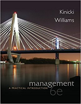 Management: A Practical Introduction