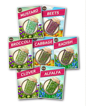 NON-GMO Sprouting Seed Set - 7 Varieties by Zziggysgal