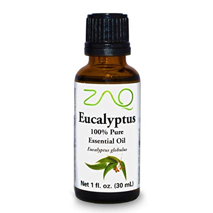 ZAQ Eucalyptus 100% Pure Aromatherapy Essential Oil, 1 Fl Oz Bottle