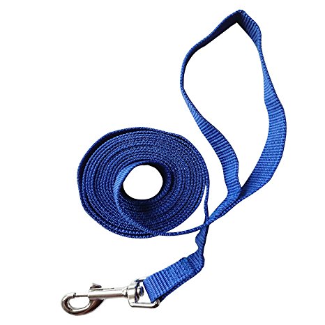 Hulless 10 Feet Dog Leash,Nylon Training Leash - Great for Training, Play, Camping, or Backyard(blue)