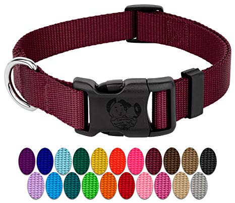 Country Brook Petz | Vibrant 21 Color Selection | Deluxe Nylon Dog Collar