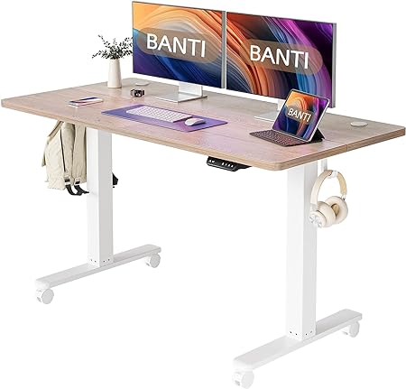 ErGear Height Adjustable Electric Standing Desk (48 * 24 Inch, White)