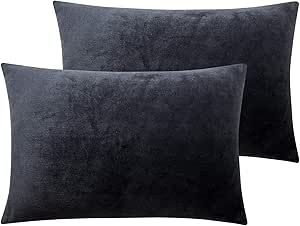 NTBAY Velvet Soft Solid Color Zipped Toddler Pillowcases, 2 Pack Cozy Luxury Zippered Plush Travel Pillow Cases, 13x18 Inches, Charcoal Grey