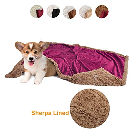 Pawsse Dog Blanket,Super Soft Sherpa Pet Blankets and Throws Sleeping Mat for Small Medium Doggies Puppy Animals 45"x30"