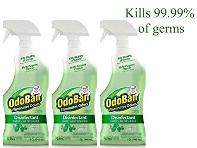 OdoBan Ready-to-Use 32 oz Spray, 3 Bottles, Original Eucalyptus Scent - Odor Eliminator, Disinfectant, Flood Fire Water Damage Restoration