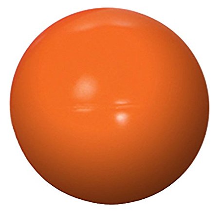 Virtually Indestructible (Hard) Best Ball for Dogs
