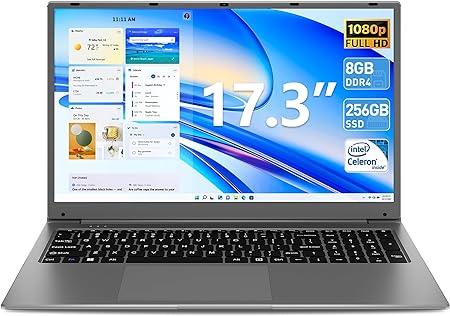 SGIN Laptop, 17 Inch 8GB RAM 256GB SSD Laptops Computer with Intel Celeron Quad Core Processor, IPS FHD Display, Webcam, Dual Wi-Fi, Buletooth 4.2, 8000Amh(Gray)