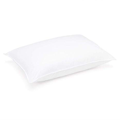 DOWNLITE Extra Firm White Goose Down Pillow Pillow Size: Queen