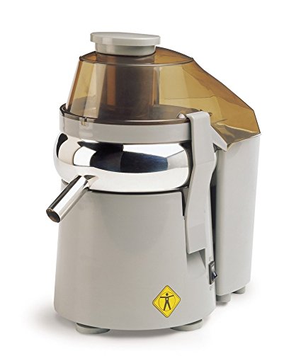 L'Equip 306150 480 Watts Mini Pulp Ejection Juicer, Gray