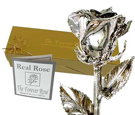 Silver Dipped Real Rose w/Gold Gift Box by The Original Forever Rose USA Brand!