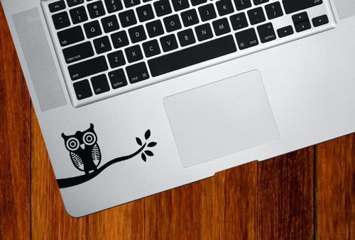 Owl on Branch - Trackpad / Keyboard - Vinyl Decal (Black)