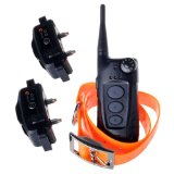 Aetertek At-918 Rechargeable 100 Waterproof Remote Control 550m600 Yard Training Shock Collar for 2dogs