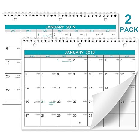 Calendar 2019-2 Pack of Wall/Desk Calendar with Julian Date & Memoranda Lined Pages, January 2019 - December 2019, Thick Paper, Bonus 2020 Yearly Planning, 8.5 x 11 Inches, Christmas Gift