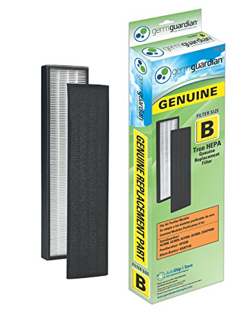 GermGuardian FLT4825 True HEPA GENUINE Replacement Filter B for AC4300/AC4800/4900 Series Air Purifiers