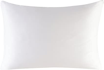 Townssilk Both Side 100% 19mm Silk Pillowcase Standard Size Pillow Case Cover with Hidden Zipper Naturalwhite