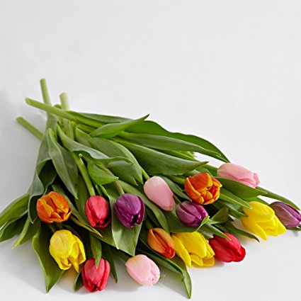 ProFlowers - 15 Count Multi-Colored 15 Multi-Colored Tulips w/Free Clear Vase - Flowers