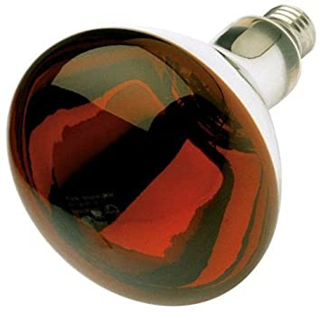 6 Pack Satco S4998 250 Watt Red Infrared Weather Proof Heat Lamp Bulb with Medium Base