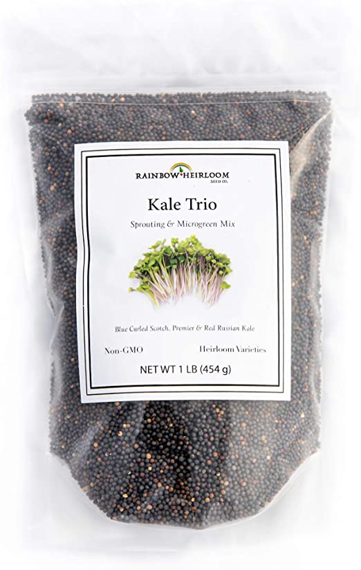 Kale Trio Sprouting & Microgreen Mix | Contains Blue Curled Scotch, Premier & Red Russian Kale Seeds for Sprouting, Microgreens & Planting Outdoors | Non GMO Heirloom Seeds | Bulk 1 LB Resealable Bag