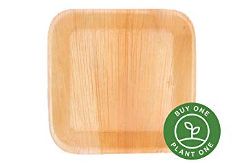 25 Heavy Duty Disposable and Home Compostable Party Plates made from Palm Leaf 7 inch Square