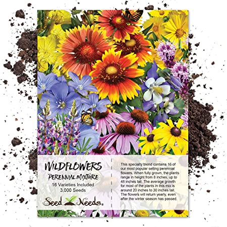 Seed Needs, Perennial Wildflower Mixture (100% Pure Seed) 3,000 Seeds