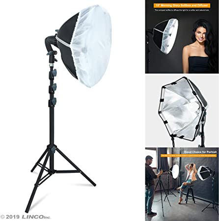 LINCO Lincostore Studio Round Lighting LED Bulb 15 inch Portrait Light Modern Style with Diffuser (Single Light) AM264