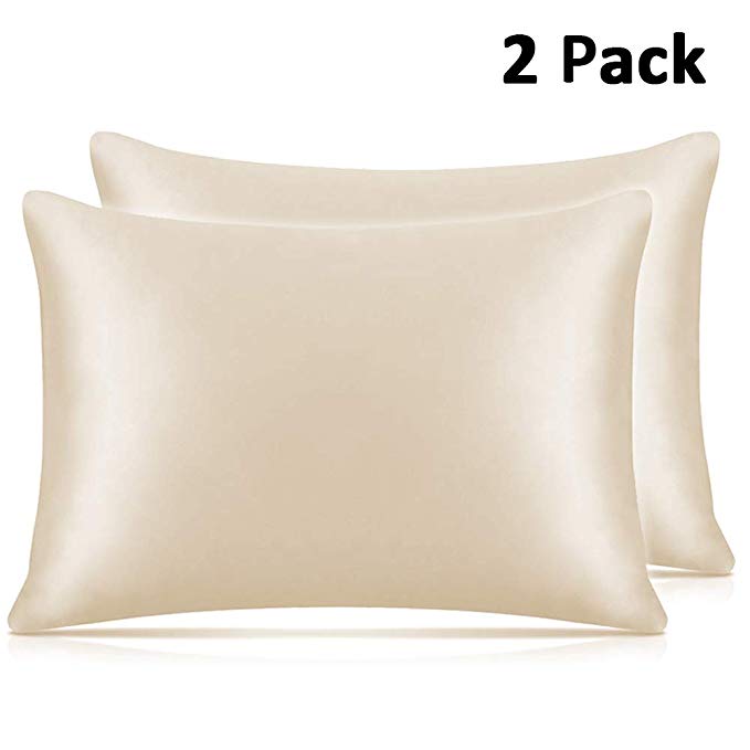 Adubor Silk Satin Pillowcase 2 Pack Silky Pillow Cases for Hair and Skin, Hypoallergenic Anti-Wrinkle, Super Soft and Luxury Pillow Cases Covers with Envelope Closure (Cream Color, 20x26)