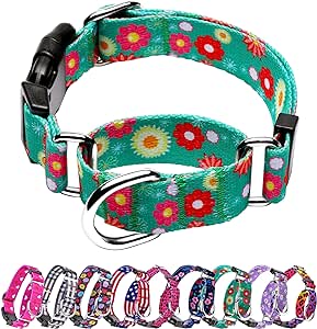 Martingale Collar for Dogs, Adjustable Soft Nylon Dog Collars with Special Design Cute Patterns for Small Medium Large Dog